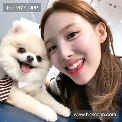 王秦准